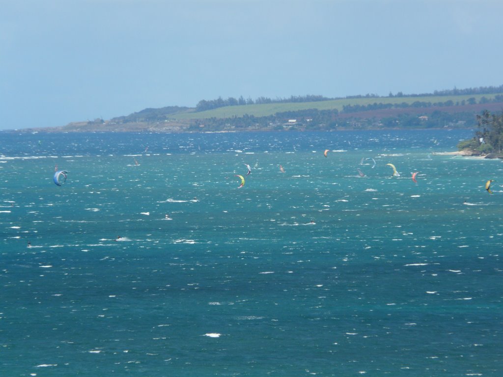 Kanaha Beach Kitesurfers, Maui Hawaii 2008