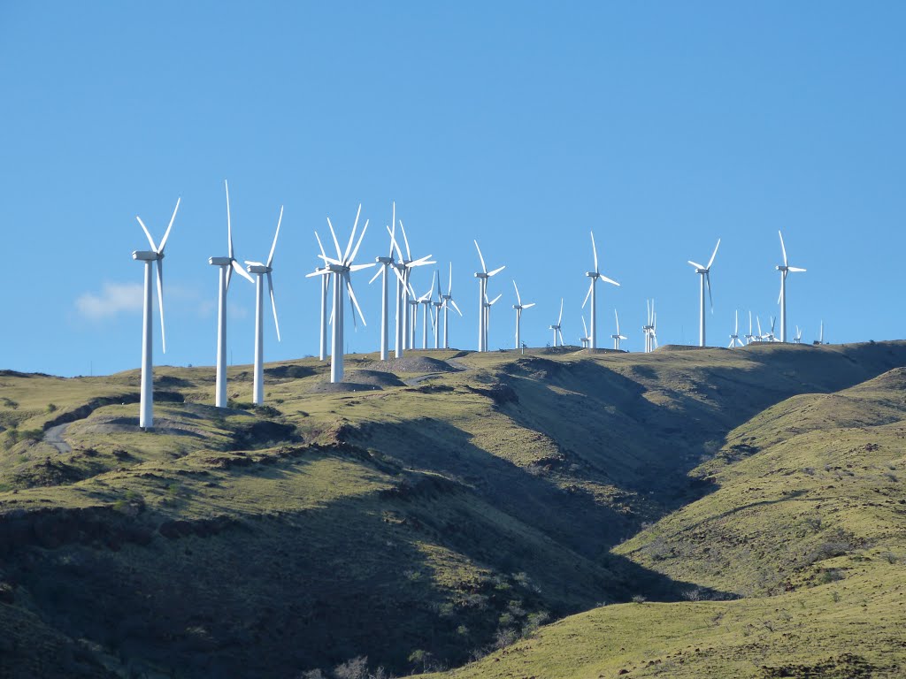 Wind Power on Maui.    James Brennan Molokai Hawaii