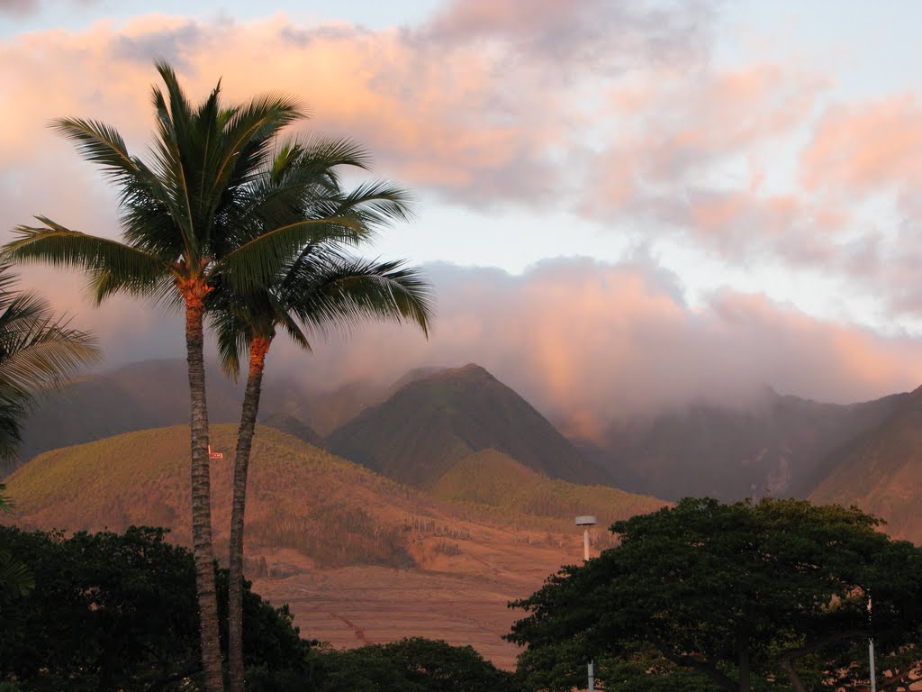 Hawaii - Maui