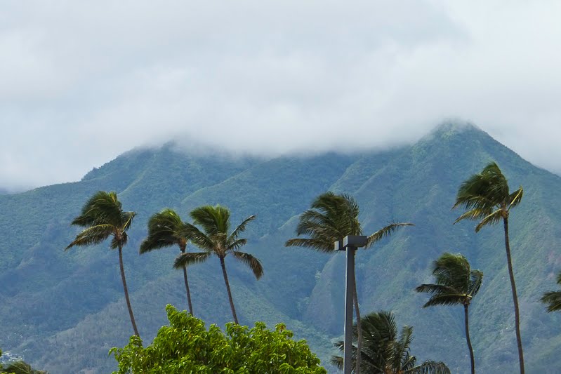 Hawaii 11-2011
