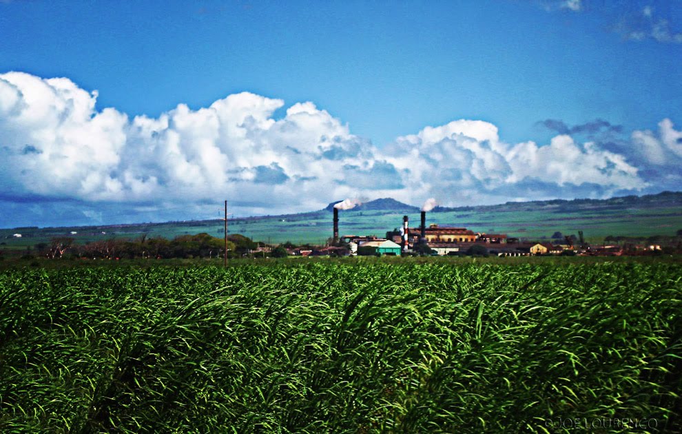 C&H Cane & Sugar Mill on Maui Hawaii