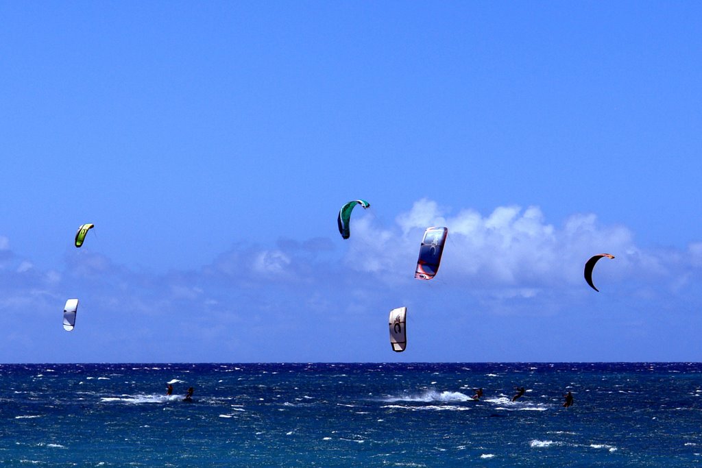 hawaii-maui north shore kite boarding