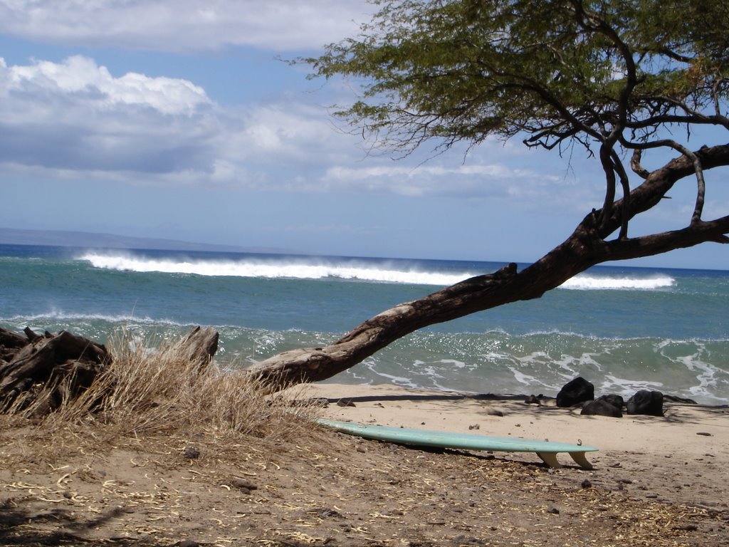 Nice, Secluded And Very Relaxing