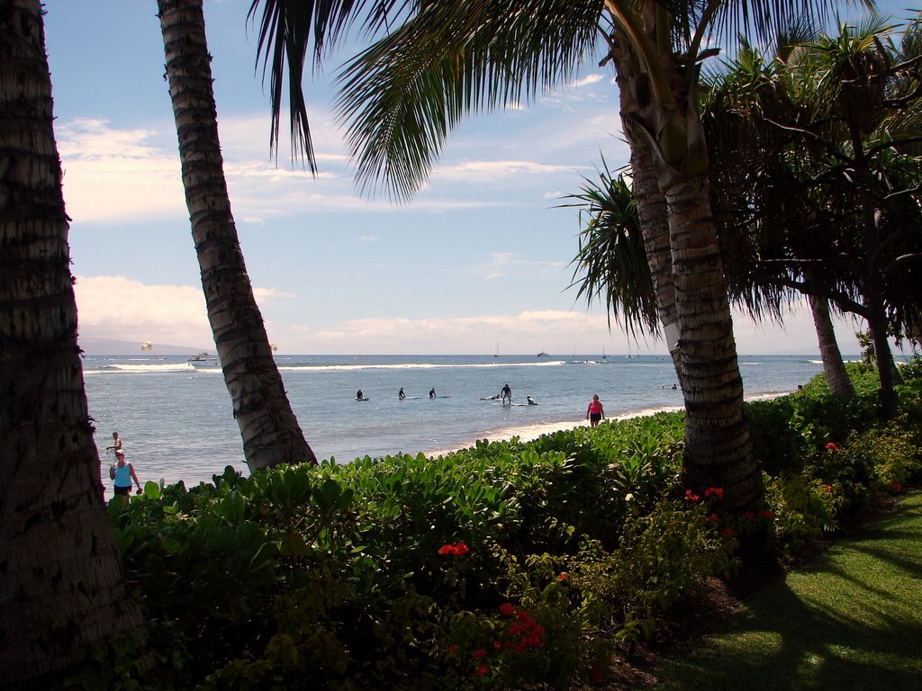 Maui Island, Hawaii.