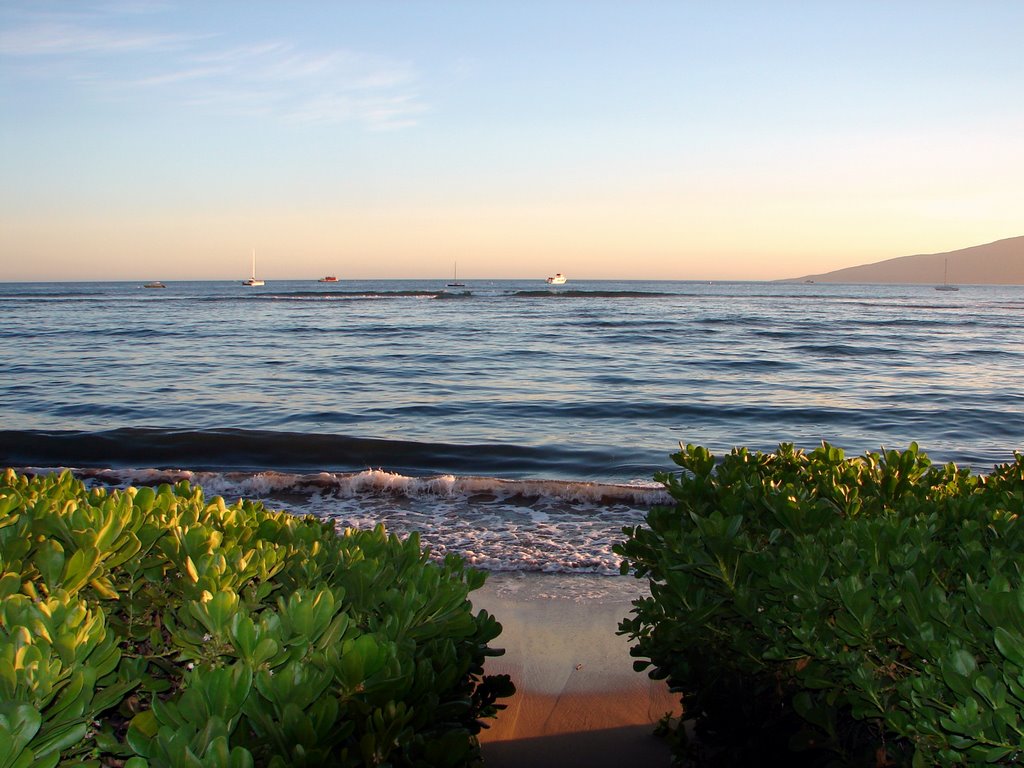 Maui Island, Hawaii.