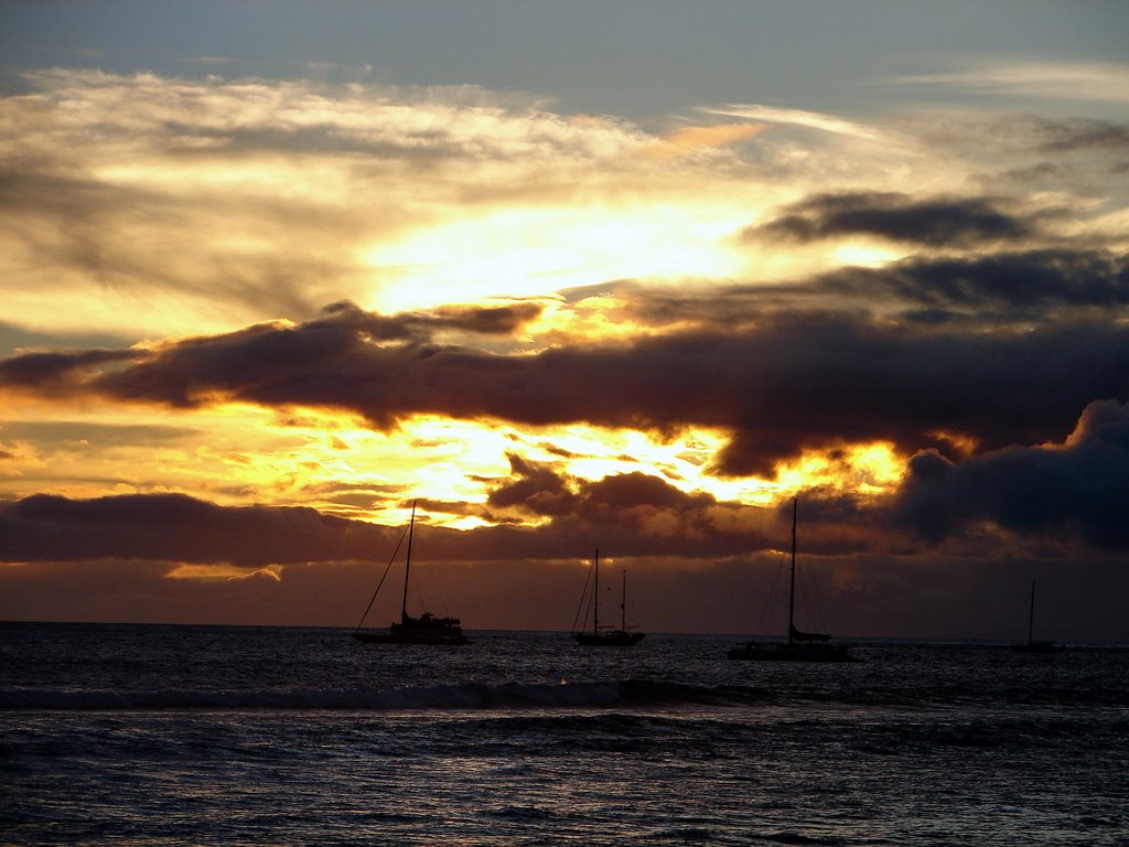 Maui Island, Hawaii.