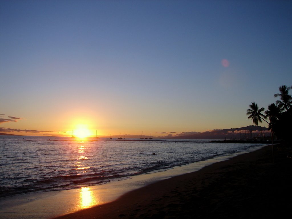Maui Island, Hawaii.