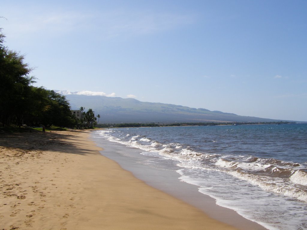 Beach @ Kihei Maui / Hawaii