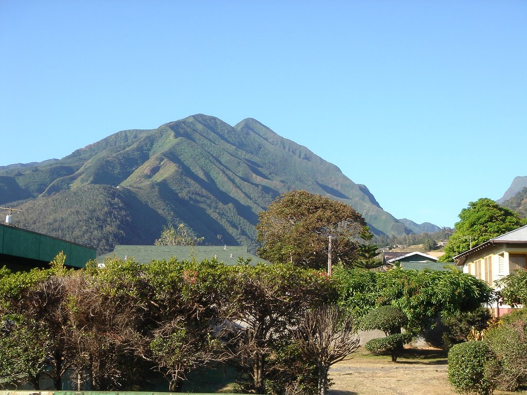 Maui hills