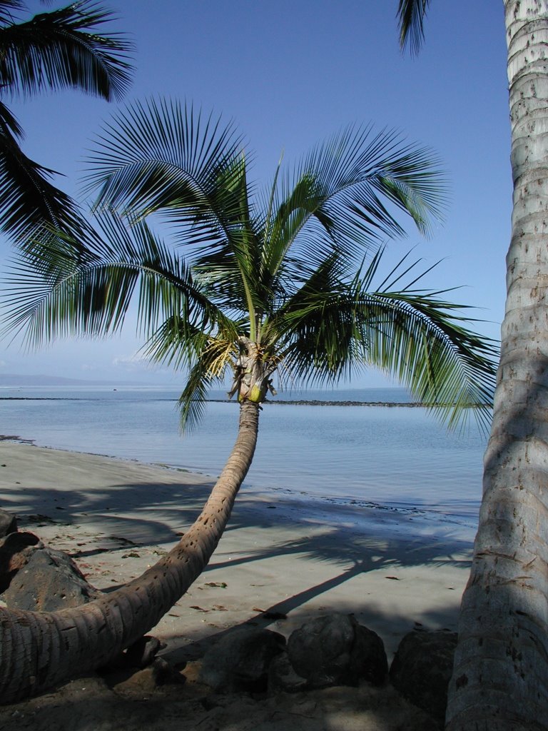 Kihei Kalepolepo fish trap