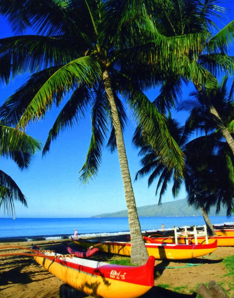Beach Suda Store side Kihei