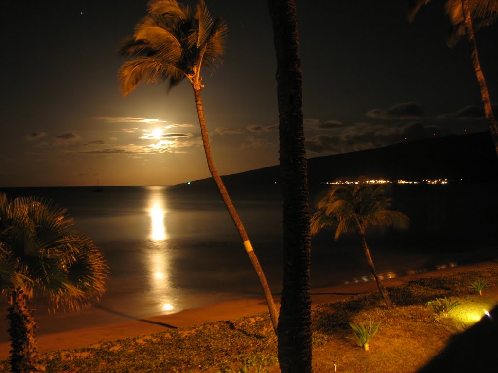 Moon Lit Beach 4-26-10