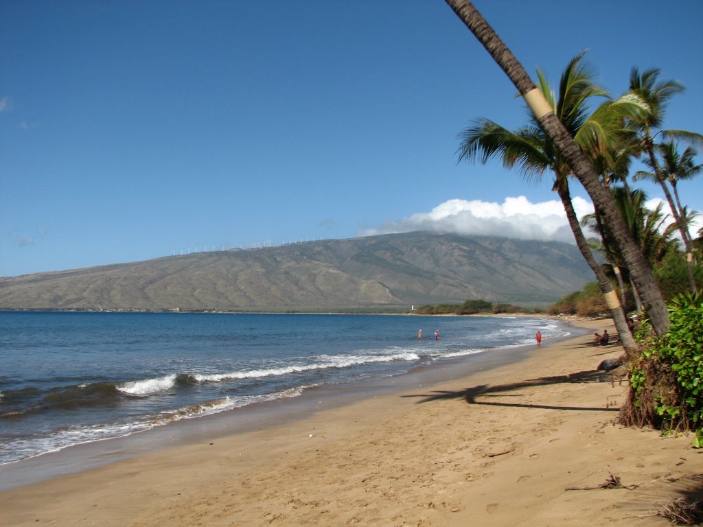 Kihei Beach Feb07