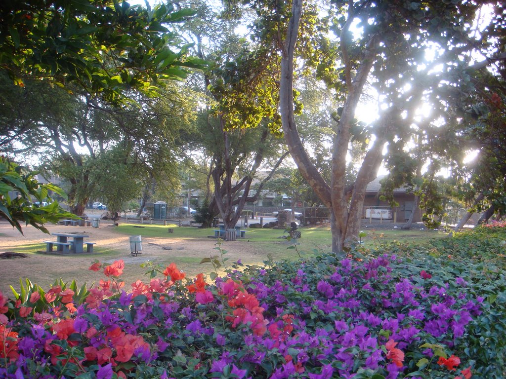 Kalepolepo Beach Park, Kihei, Maui