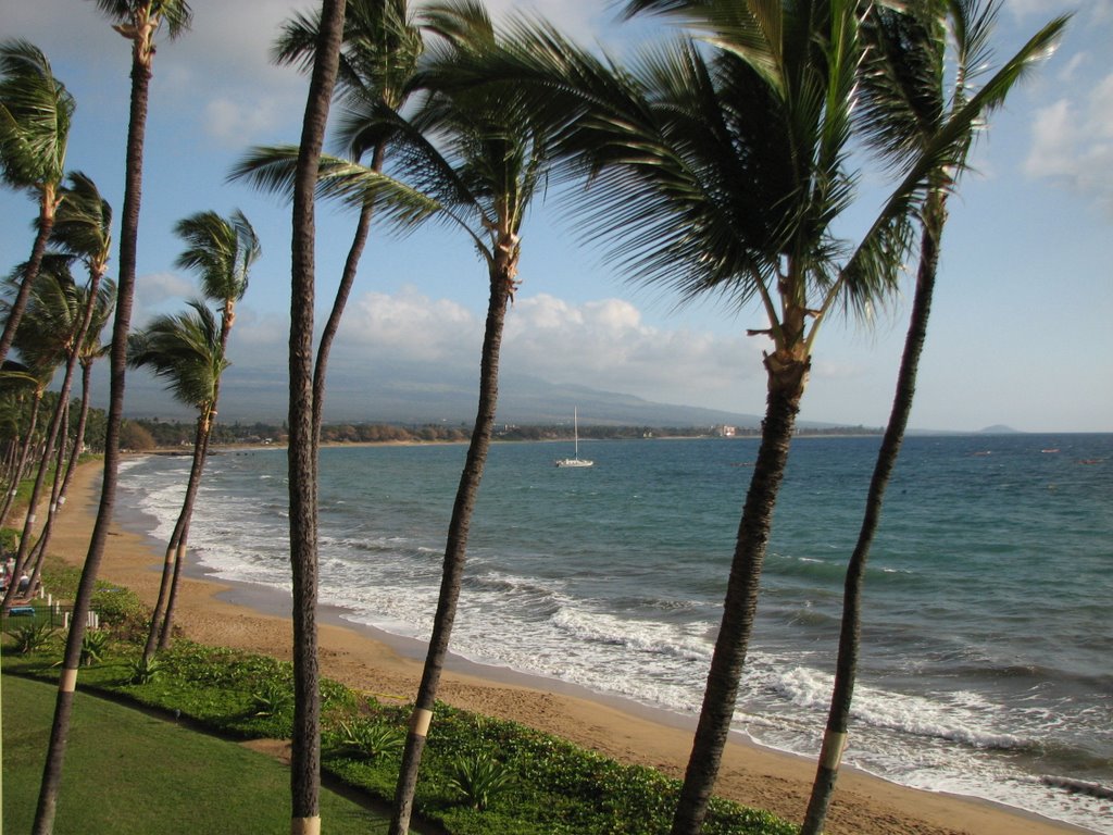 Southern View Kihei Feb07