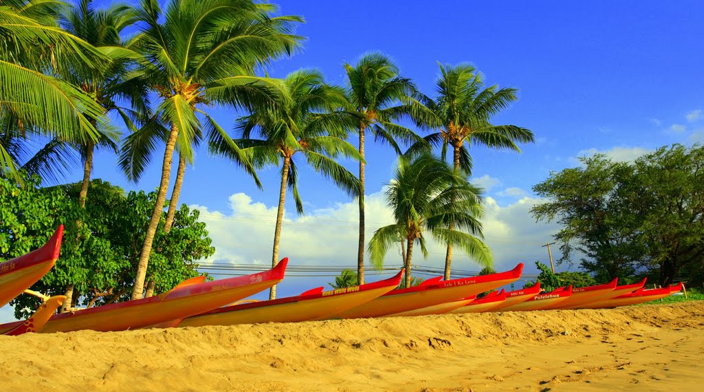 Kihei Maui Canoe club ,Vaas at the ready