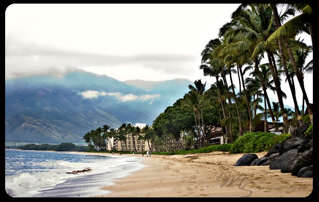 kihei beach near kenolio park