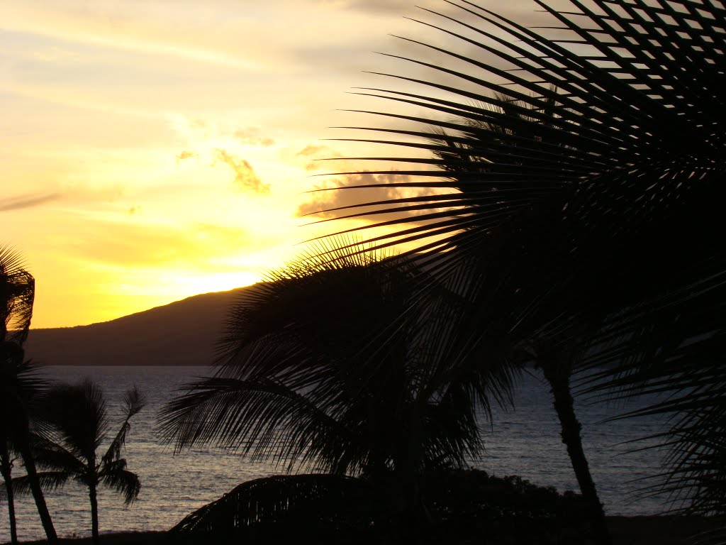 Sunset in Maui