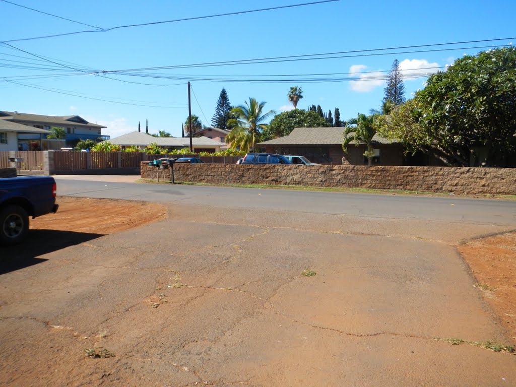 DCSN0029  Our driveway!