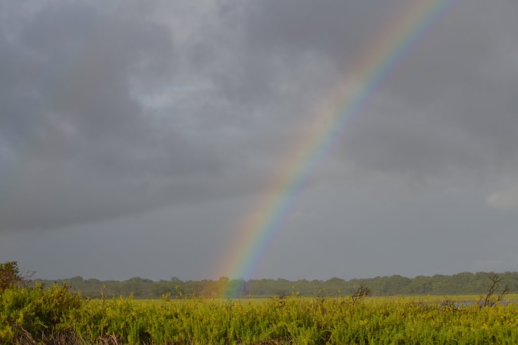 After the Rain