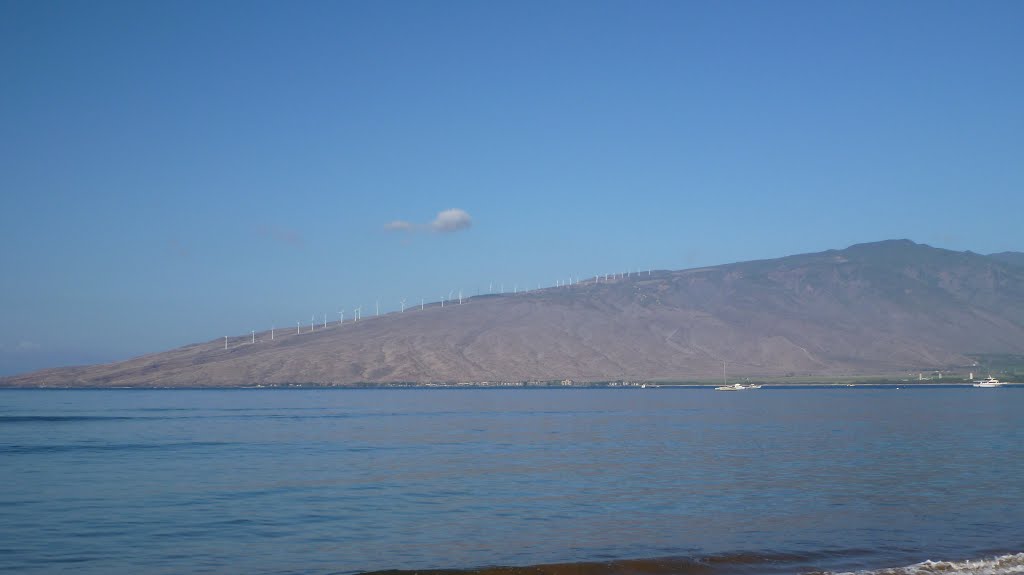Maui