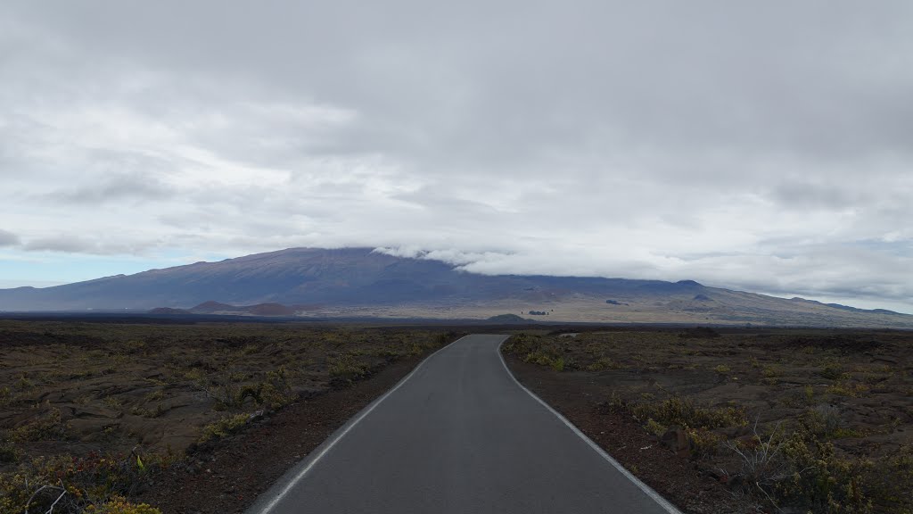 Mauna Loa access road