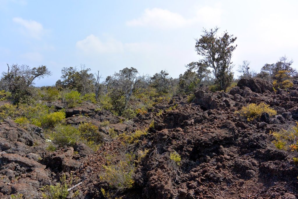 2014-05-09 Geocaching in A-a lava flows by the Mauna Loa Observatory Road