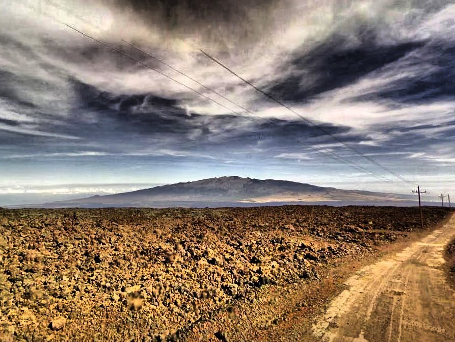 Mauna Loa Forest Reservation, HI