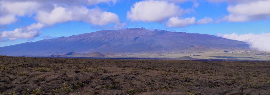 2013-10-20 Mauna Kea from the saddle behind Puu Huluhulu cone.