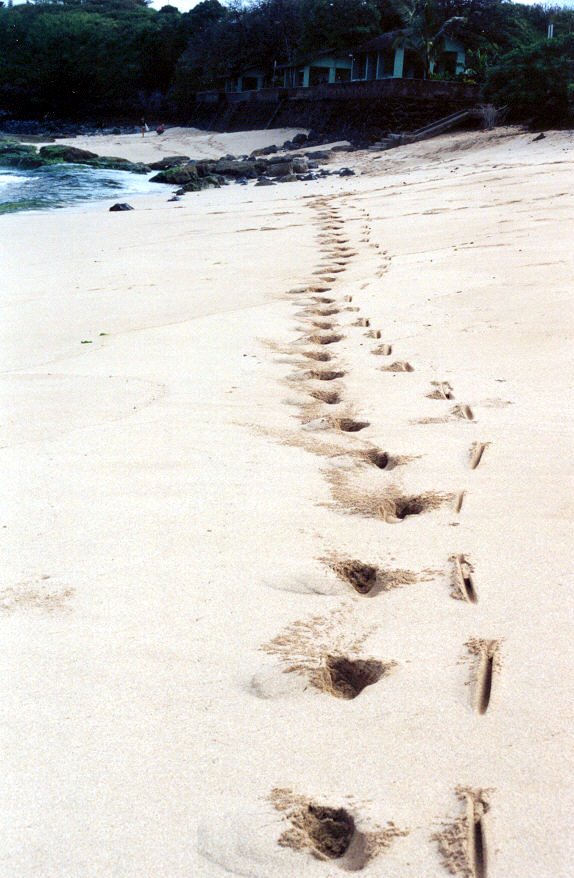 paia maui - surfer tracks
