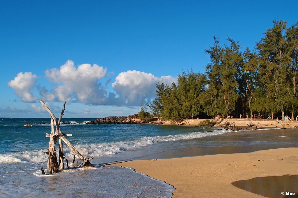 Baldwin Beach Park