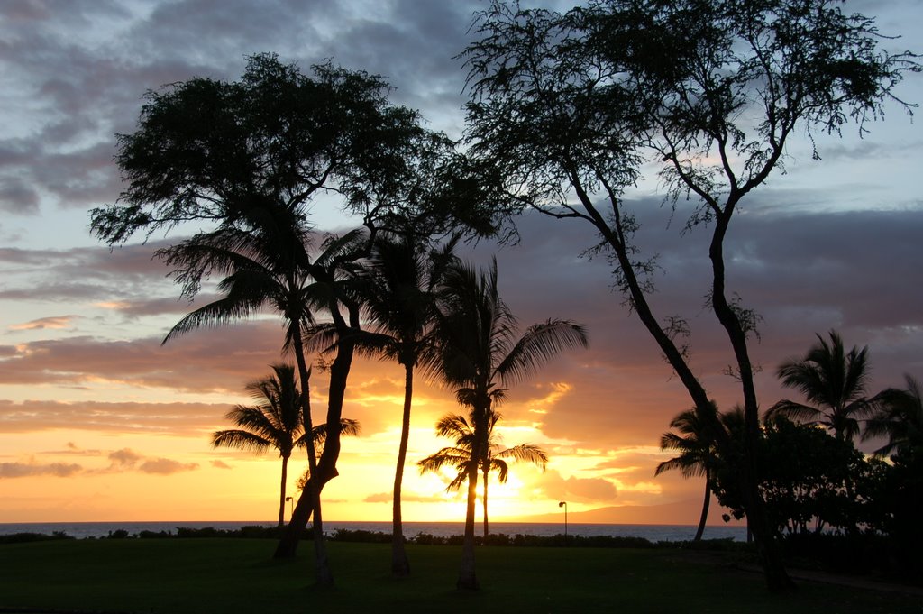 [Sunset at Maui]