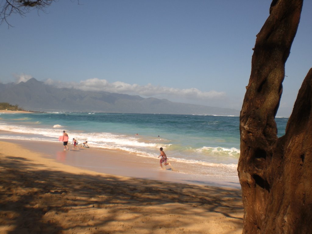 Baldwin, Paia
