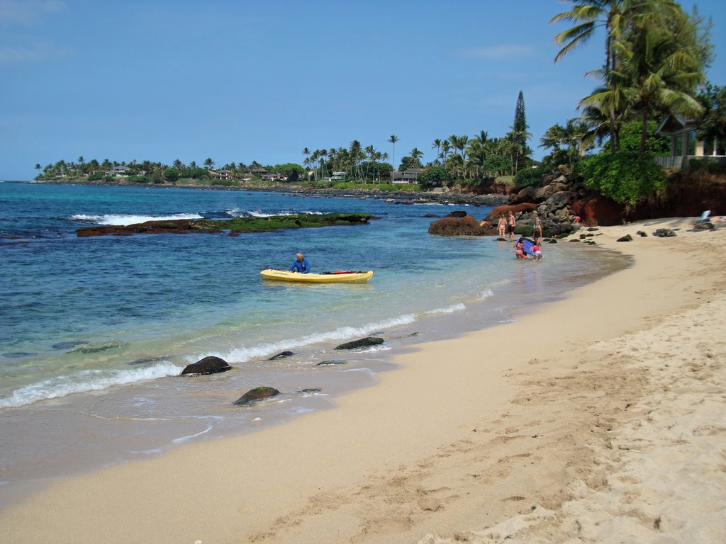 Tropical Paradise