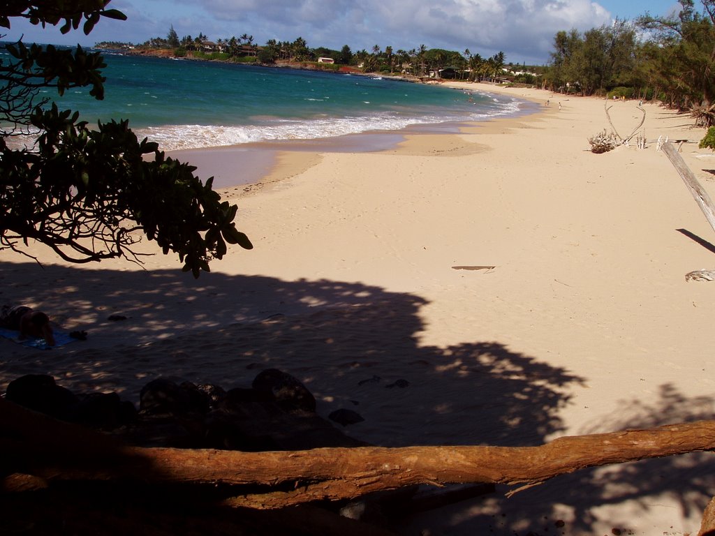 Baldwin Beach Park