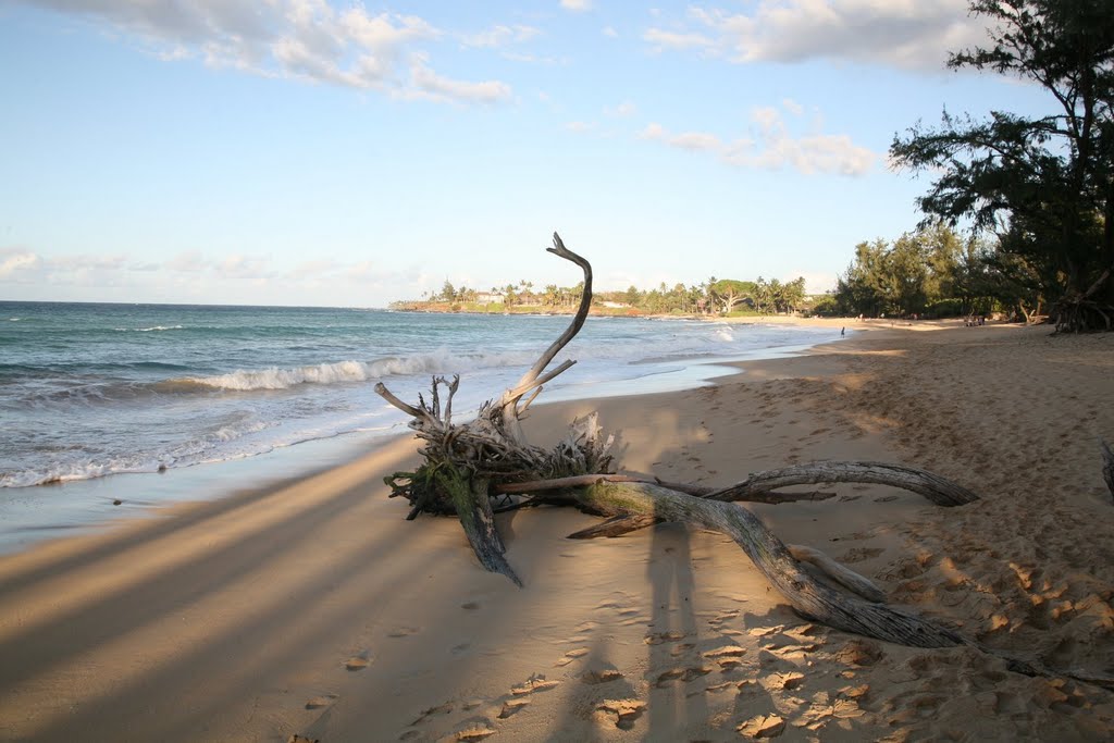 Paia Baldwin