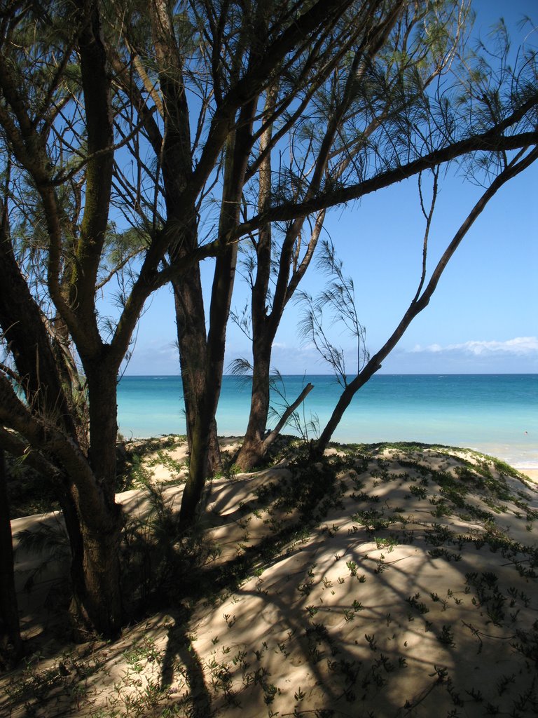 Paia Bay
