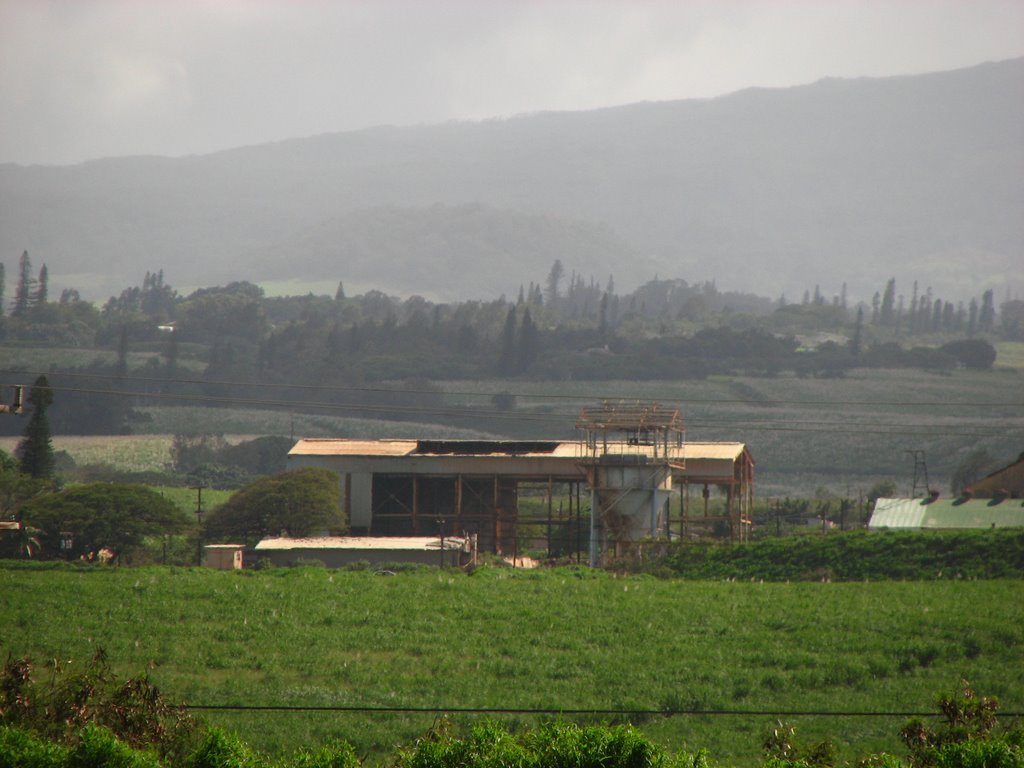 paia mill from baldwin park maui