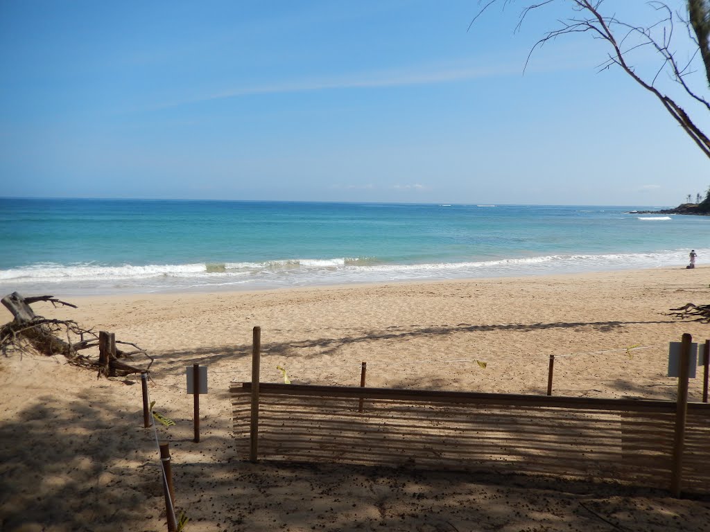 Paia Beach