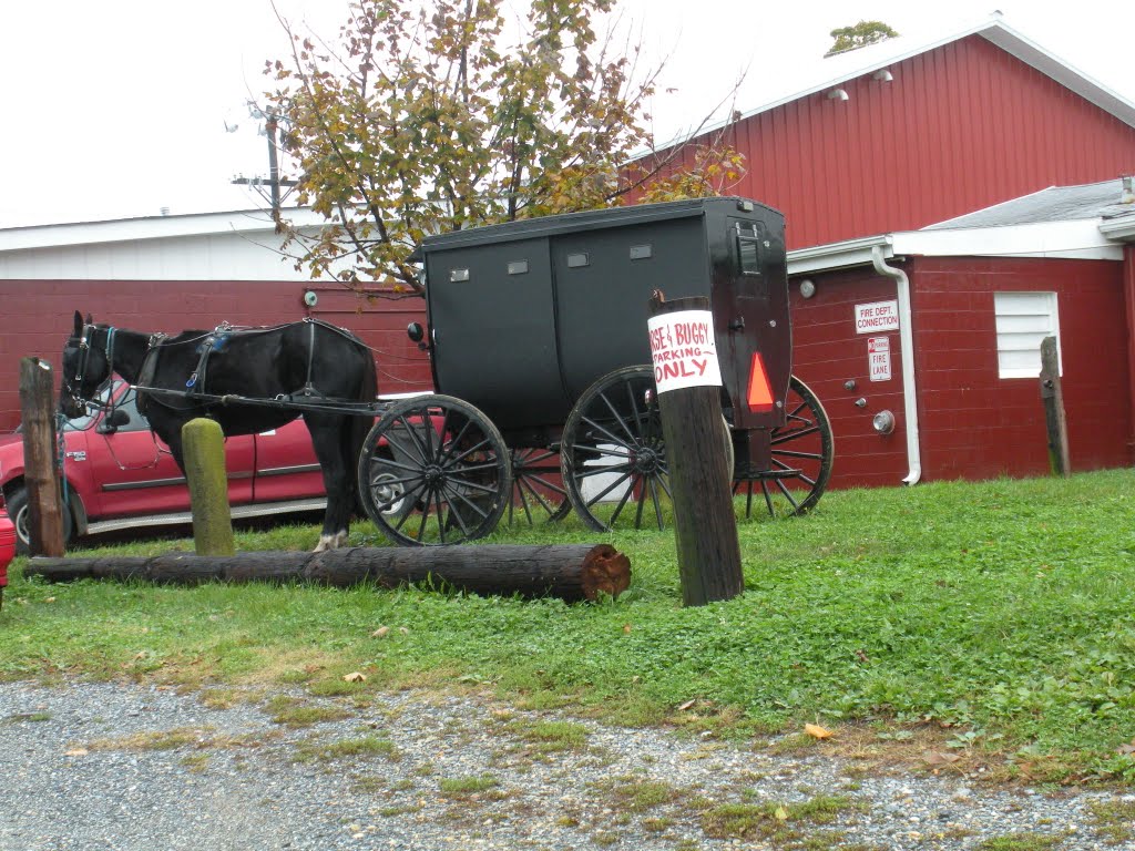 Horse & Buggy Parking Only!