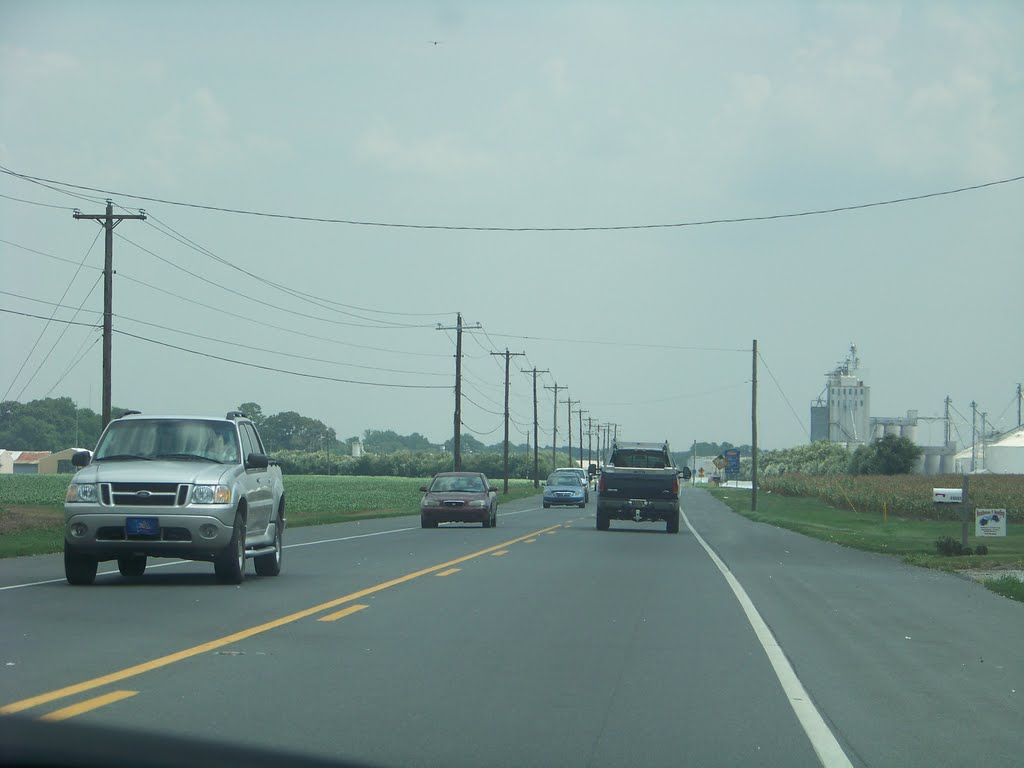 Delware Rt. 24 ( John J. Williams Highway )
