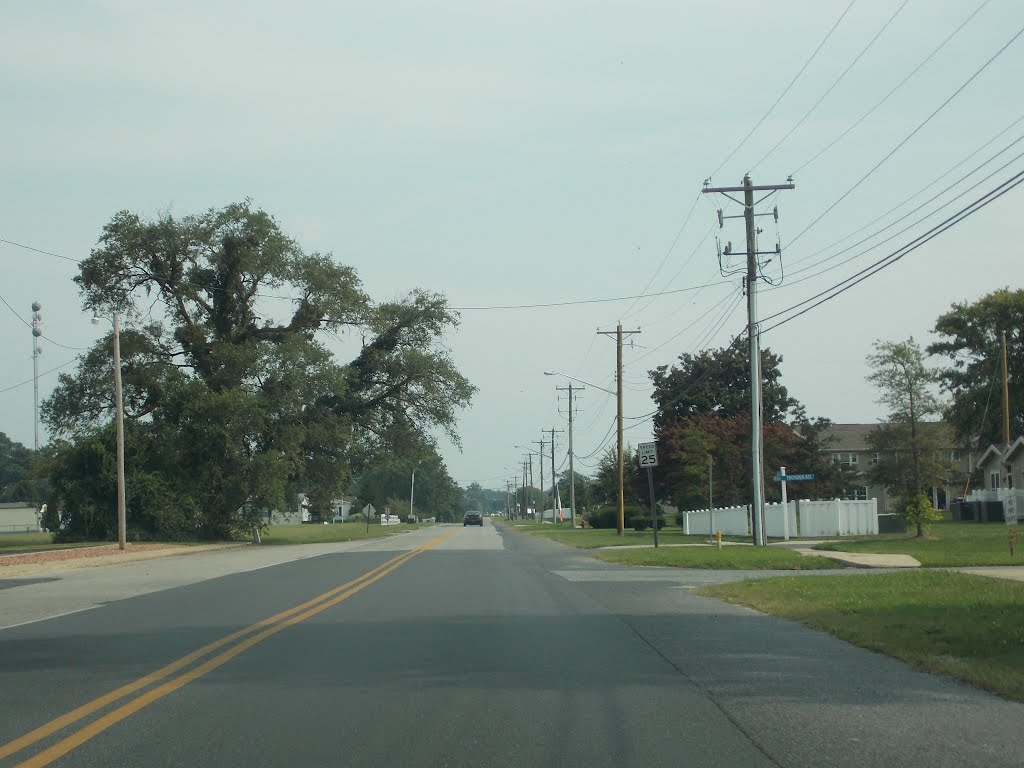 Mitchell Street, MILLSBORO