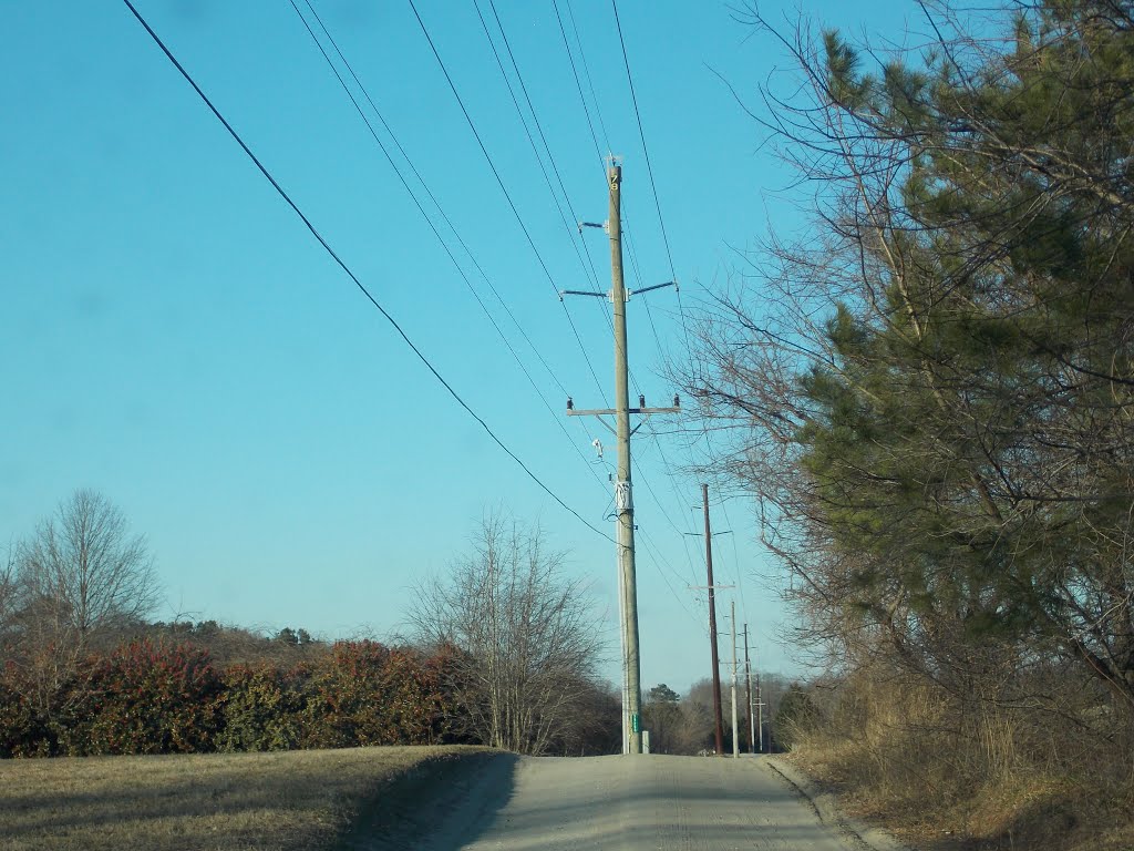 Millsboro (DE) Dirt Road