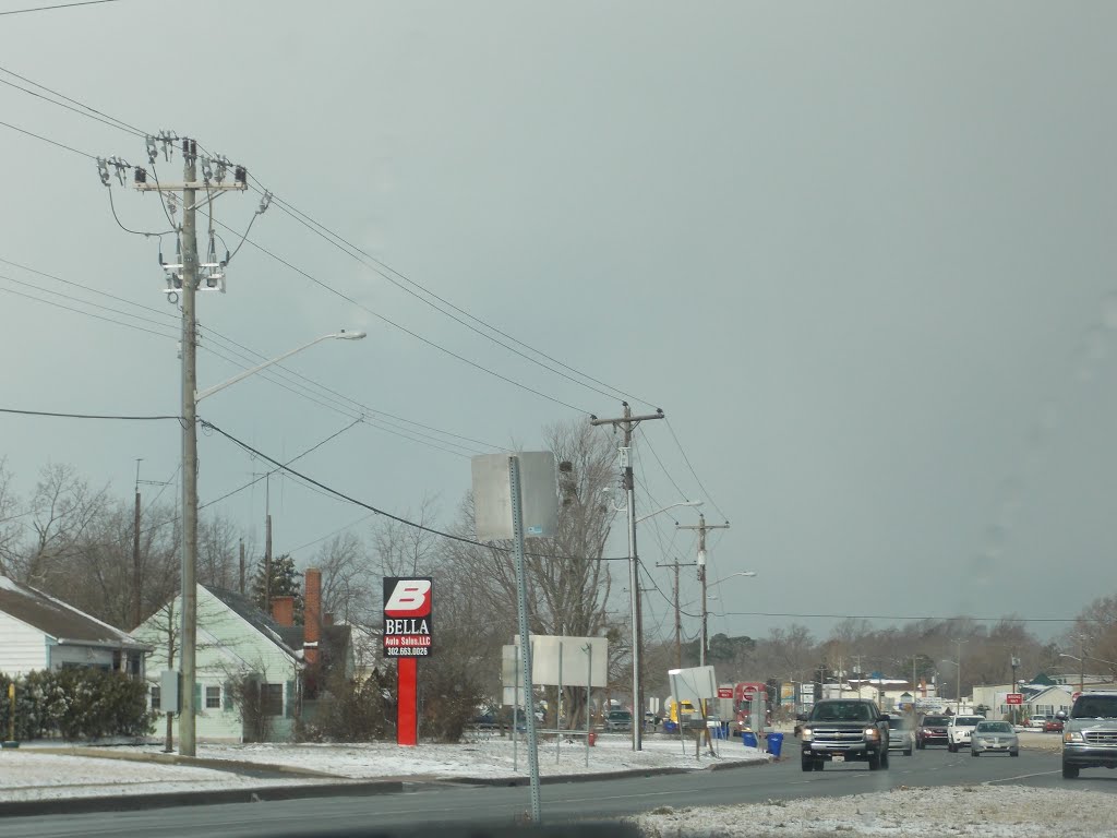 Delaware Route 113