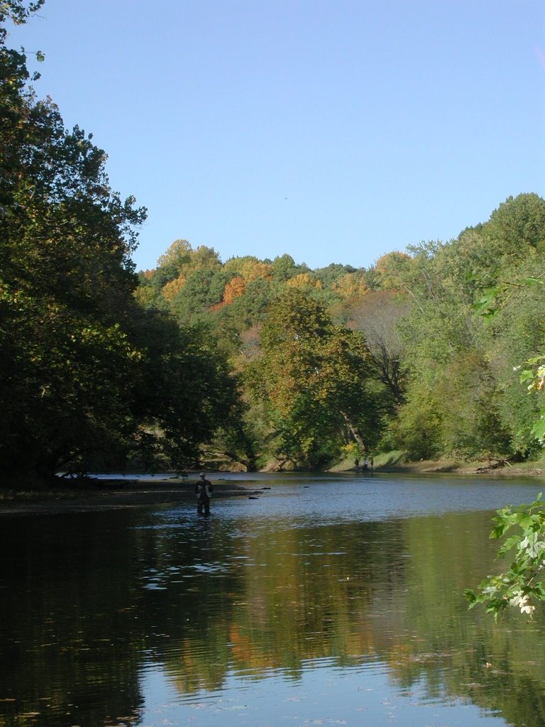 Brandywine river @ fall