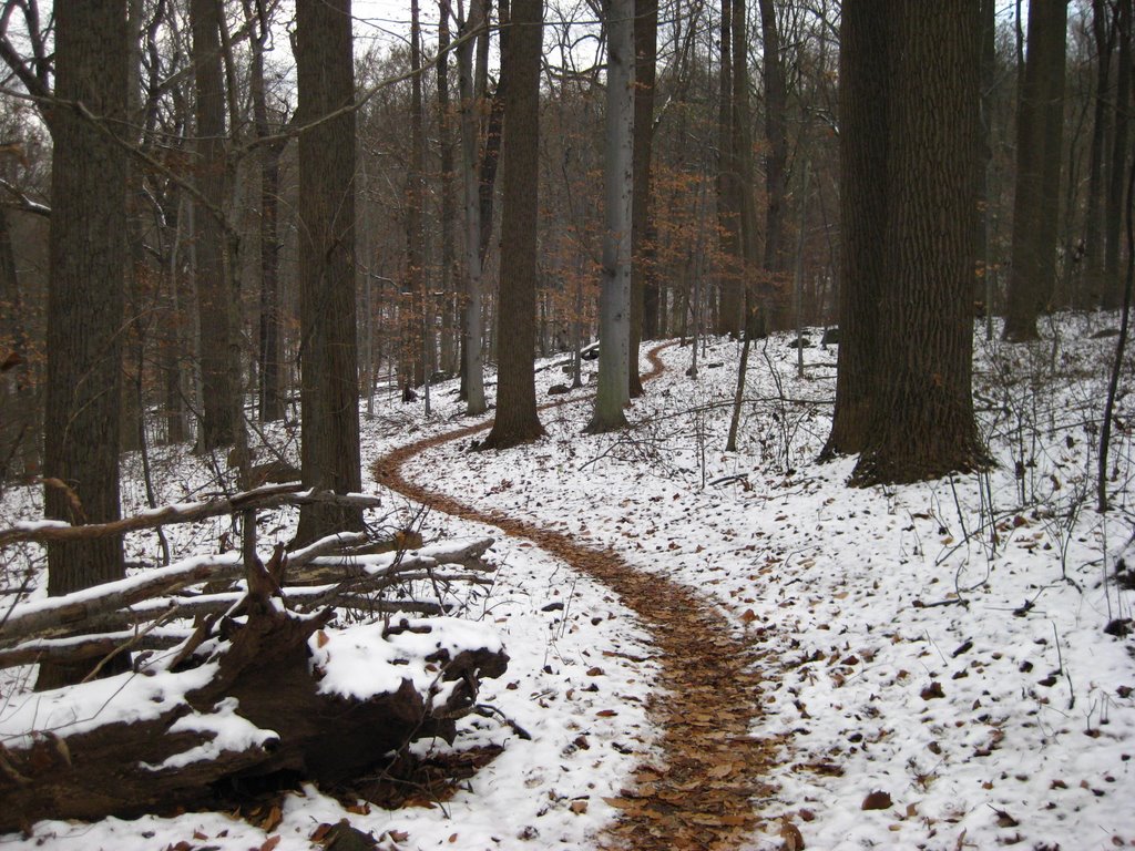 First Snow 11-22-08