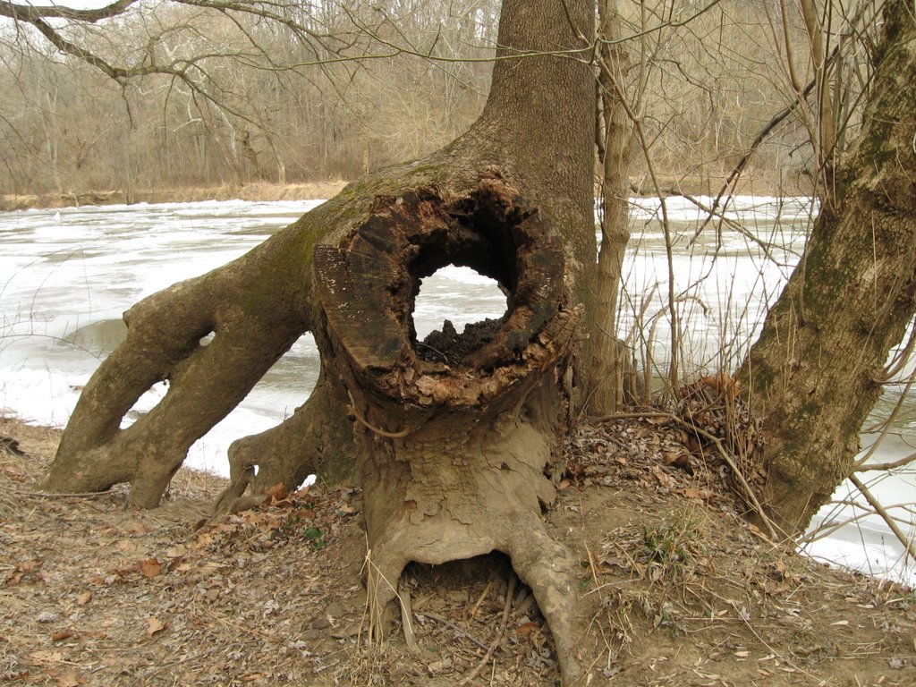 Brandywine Creek