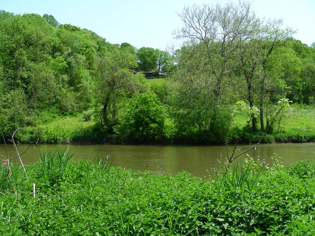 Green, Blue, and Brown