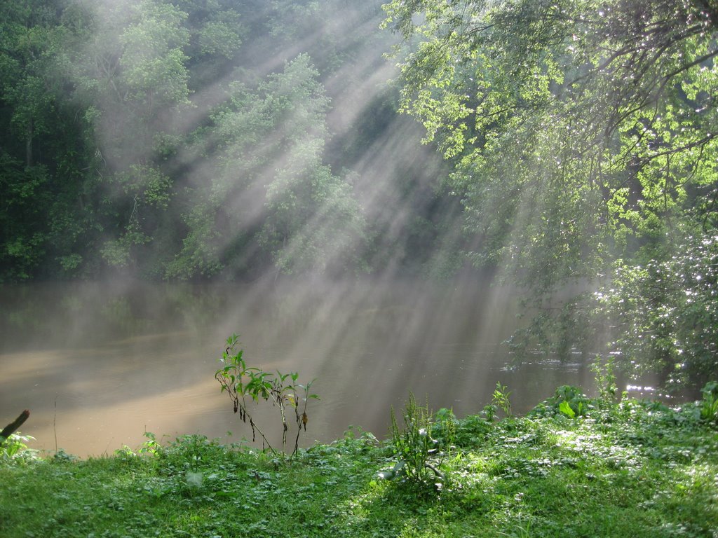 After the Storm