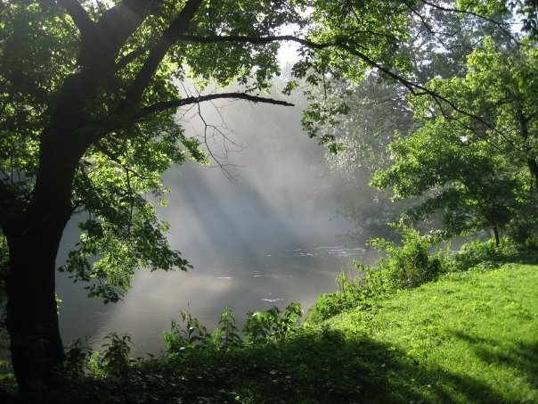 Sunbeams